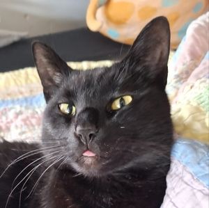 Meet your Posher, Marena